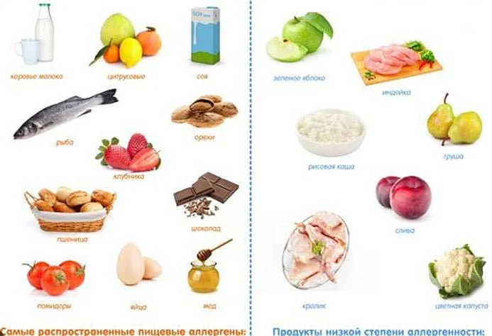 Исключаемые продукты при гипоаллергенной диете