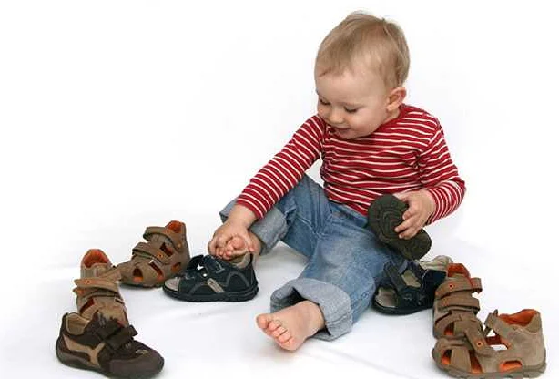 Ухаживаем за обувью: как предотвратить грызение