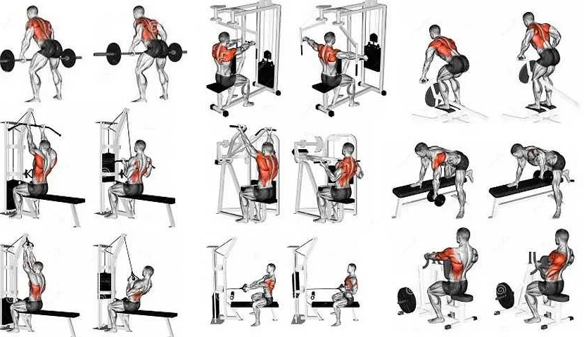 Силовые упражнения для широчайших мышц спины