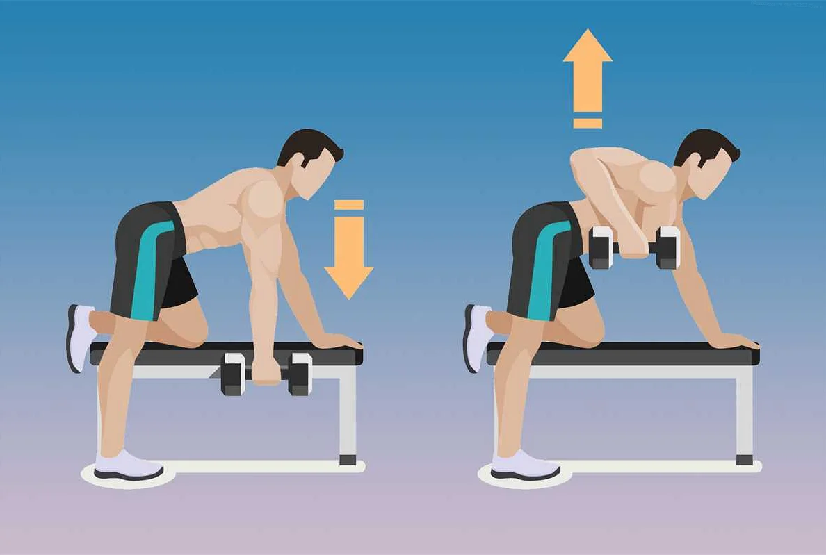 Комплекс упражнений для широчайших мышц на тренажерах