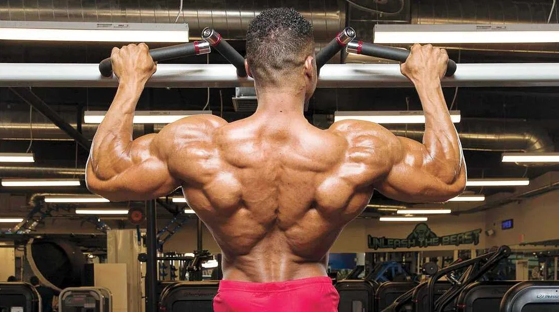 Важность развития широчайших мышц спины